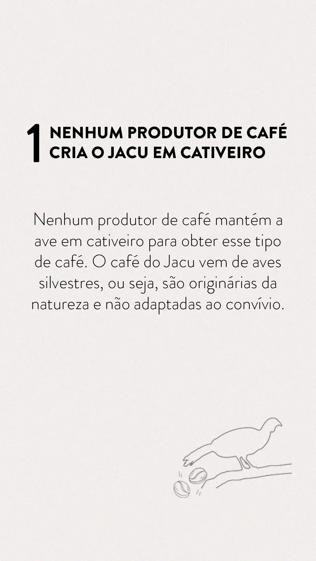 Já ouviu falar sobre o café Jacu Considerado um dos cafés mais