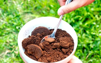 Como reutilizar a borra do café