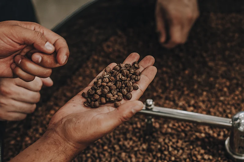 Analisando o ponto de torra dos grãos de café especial
