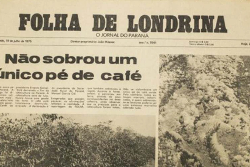Manchete sobre o preço do café na Folha de Londrina - O Jornal do Paraná - Não sobrou um único pé de café