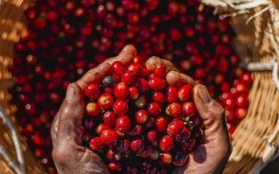 O açúcar natural do café faz mal à saúde?