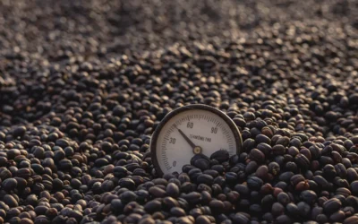 Fermentação em Cafés Especiais