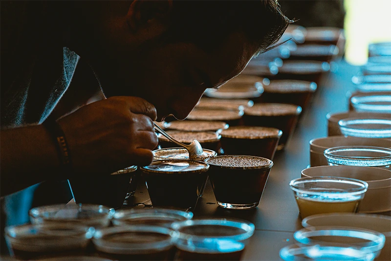 Provador de cafés especiais avaliando amostras