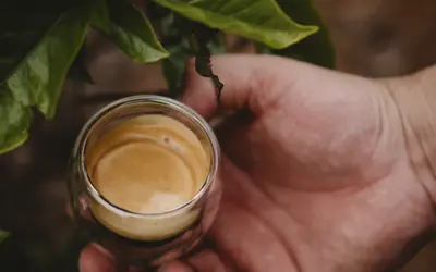 Como se Forma a Crema do Espresso