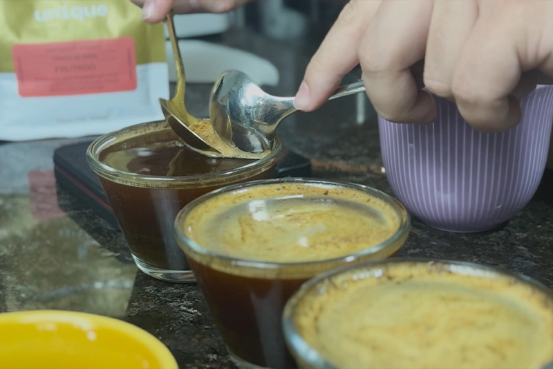 Cupping teste de moedores da Timemore