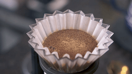 Filtrando café especial no Origami Dripper
