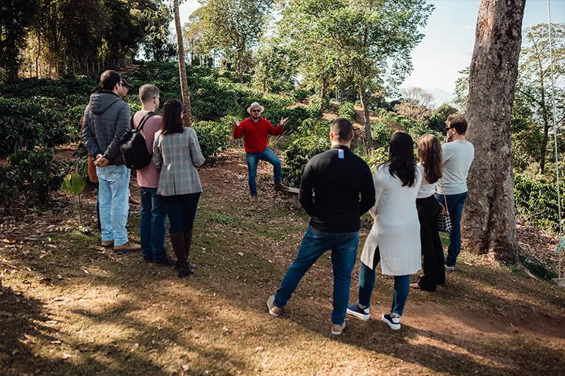 Imersão na fazenda