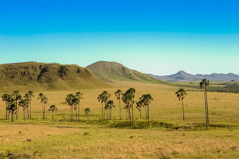 Visão aérea do solo do Cerrado Mineiro